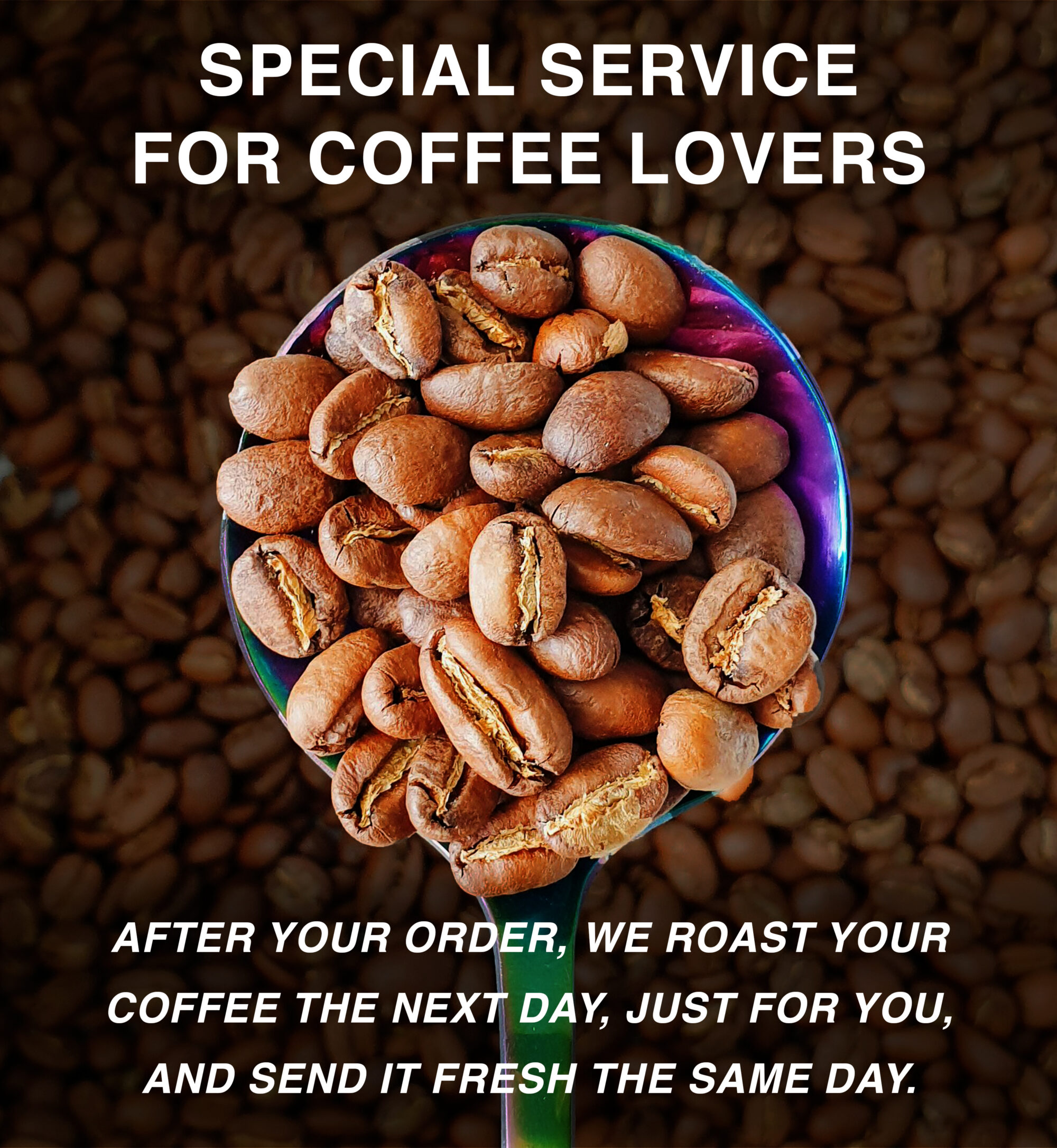 80-CUP-special-service-specialty-coffee-beans-freshly-roasted-after-order